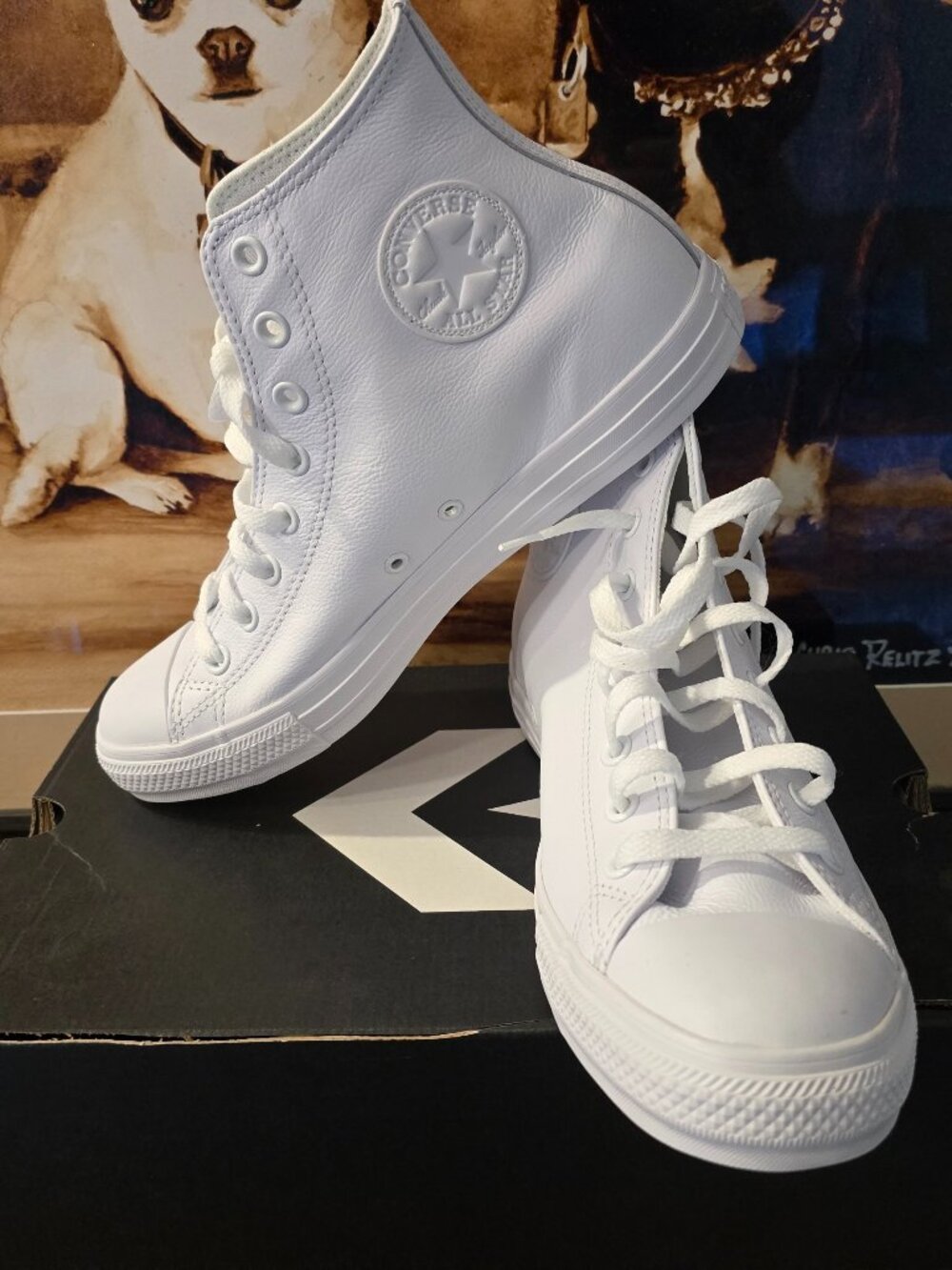 Converse Chuck Taylor All Star Hi Top Leather Trainer White 1T406 Monochrome 10